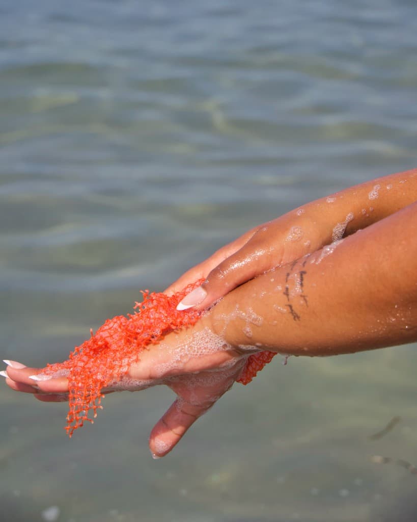 Hands holding a red sea mesh above clear water